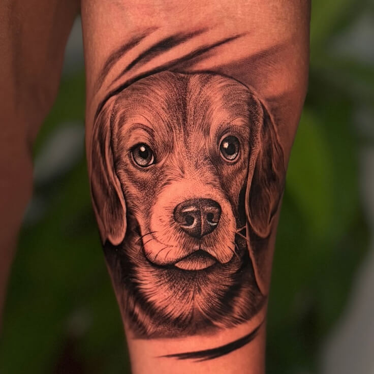 Dog portrait realism tattoo by Sharan