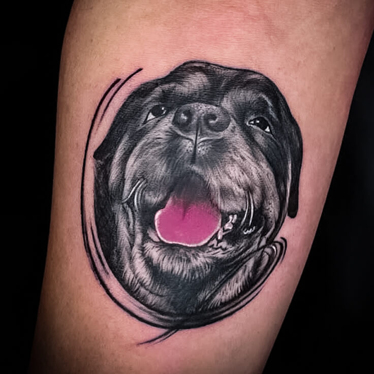 Dog portrait black and grey realism tattoo by Vishal Gour