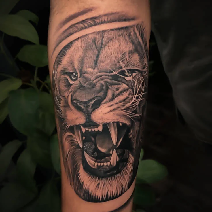 Black and grey roaring lion realism forearm tattoo by Apex Tattooz in Delhi