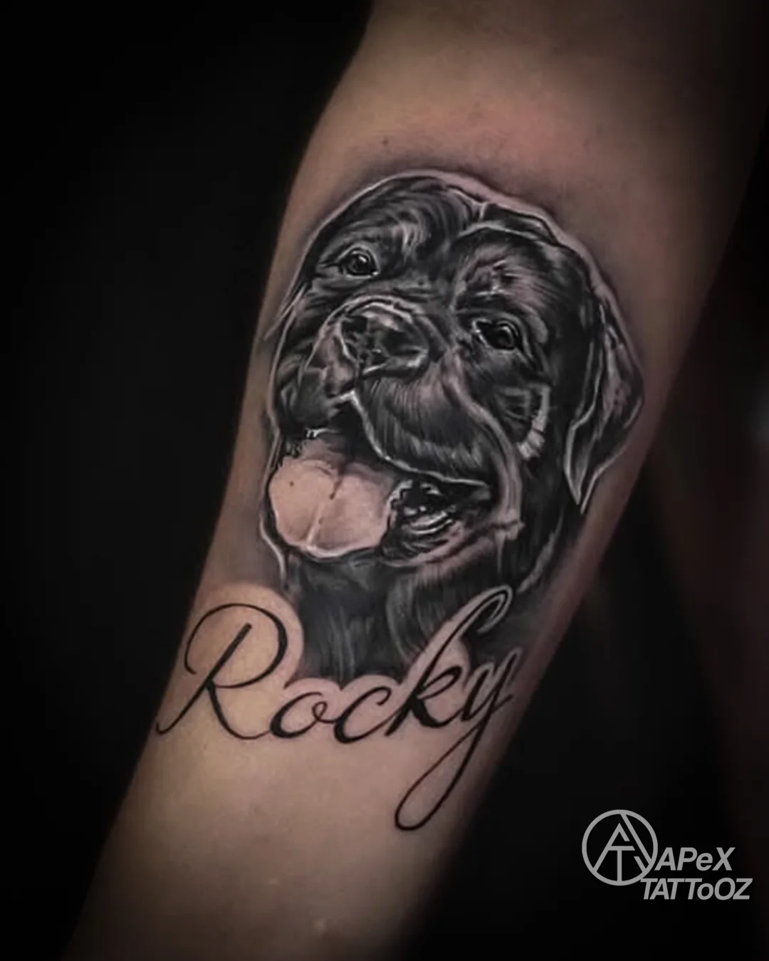 Black and grey dog portrait tattoo by Tanmay at Apex Tattooz Delhi