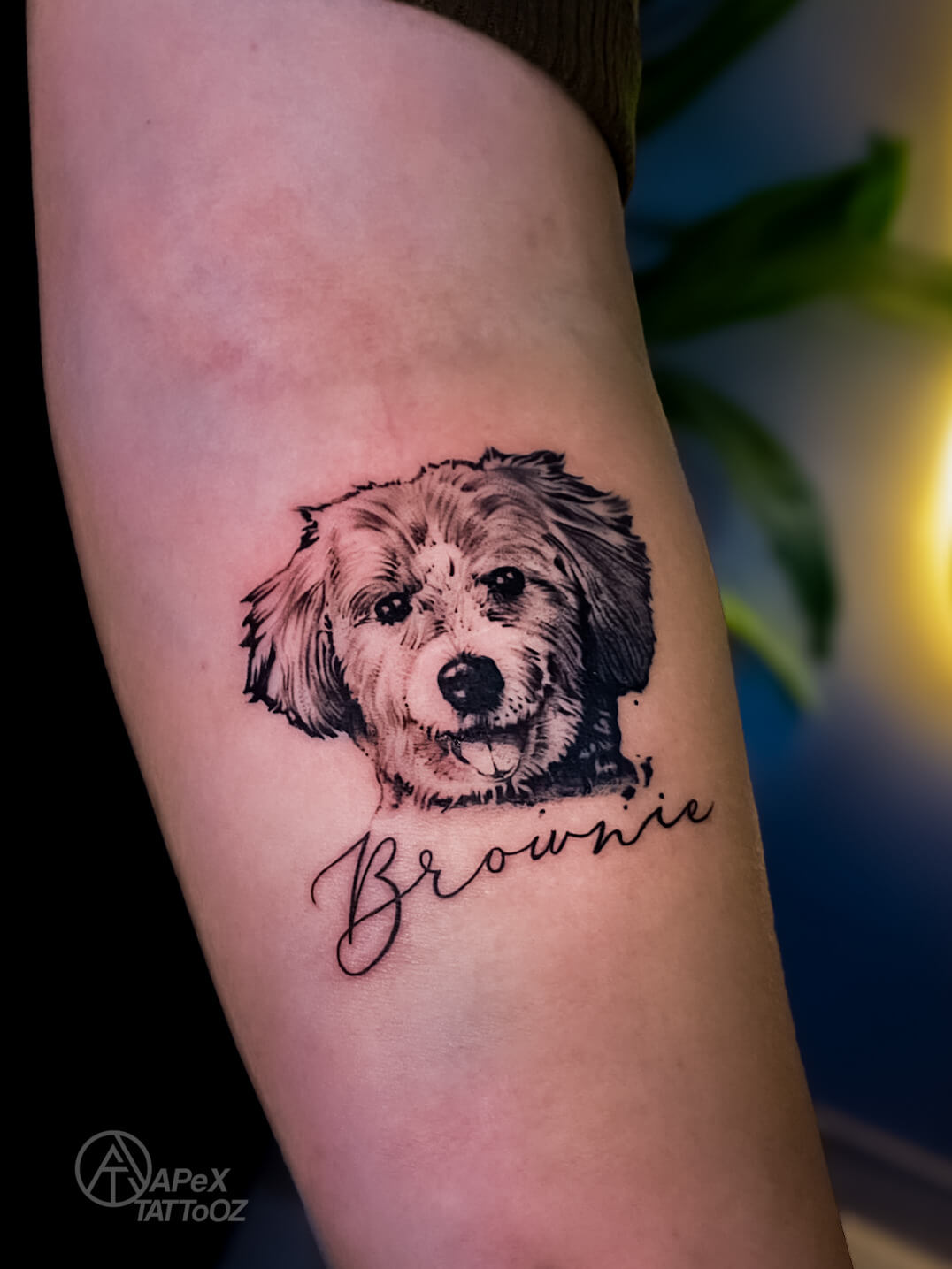 Black-and-grey dog portrait tattoo above cursive Brownie lettering